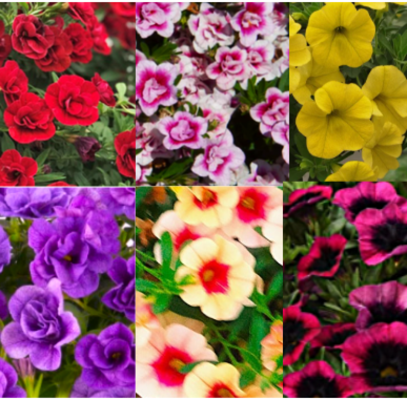 Снимок экрана 2026-02-27 075008